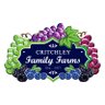 CritchleyFarms's profile picture. 💙It is finally blueberry season! Visit our website for info on sales, recipes using fresh blueberries, & more!💙