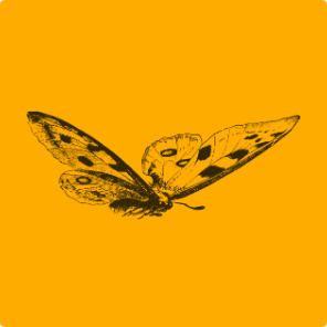 Better Venture Profile