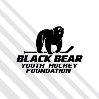 🏒 Nonprofit formed to remove financial barriers and increase youth hockey participation through individual grants and sponsored programs.