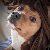 svennergr (@svennergr) 's Twitter Profile