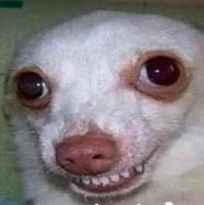 LiLo32313069's profile picture. Nada a declarar.