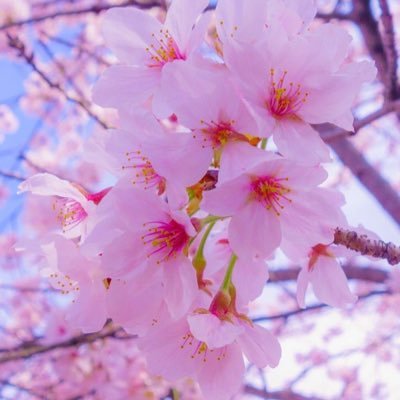 GOlNGNORTH's profile picture. 