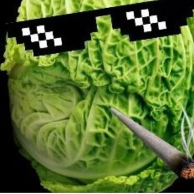 WastedCabbage's profile picture. No descriptions.