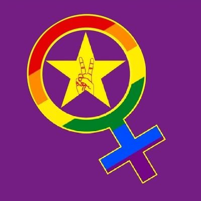 YDG'li Kadınların ve LGBTİ+'ların kurumsal hesabıdır. Jinên Ciwanên Demokrat a Nû.