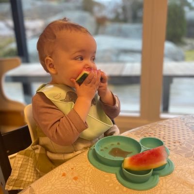 Coach de salud integrativa. Salud infantil y familiar. Coach de Baby Led Weaning. Recetas