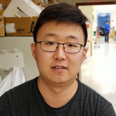 Chaoran Li Profile