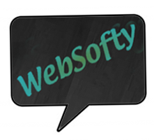 Websofty was formed by a group of college students from the Northwest Suburbs of Chicago to help local small businesses upgrade and maintain their website.