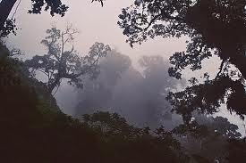 cortez_claudia's profile picture. una mujer que se interesa por su familia como prioridad, y en el medio ambiente, creo en Dios y en sus bendiciones