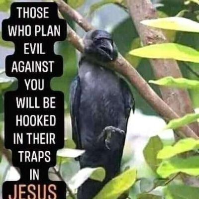 Bazzy23902062's profile picture. 