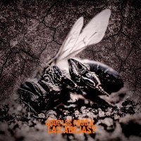 ¿Qué les pasó a las abejas? - Documental (@abejas_doc) 's Twitter Profile