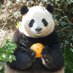 Jolly Panda🐼😋🎃 (@panda59401830) Twitter profile photo Jolly Panda🐼😋🎃 (@panda59401830) Twitter profile photo