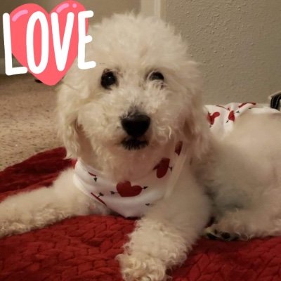 AscensionTee's profile picture. Let’s make this moment magical.