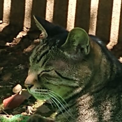 趣味人(しゅみんちゅ)
角煮会会長&角煮伝道師。120。
角煮LOVERS。角煮旨いよ角煮。
いつも眠いUAB運営のおっさん。
いつも眠いUABシリーズMAPおじさん(・∀・)
いつも眠いけど気軽に絡んでくだしぁ(。・_・。)ノ
実はRESというアウトドアSHOPの人。
UABスポンサーです。