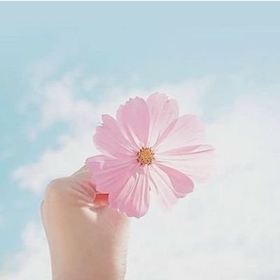 debiane16's profile picture. 