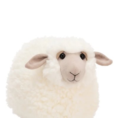 @sheepcreatives. code sheep77 #ad