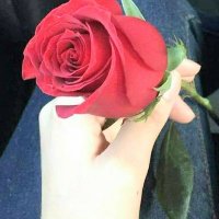 لونا (@l0n_02) 's Twitter Profile