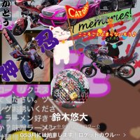 暴走族大好き❤️茨城県大好き❤️喧嘩上等❤️crazyyankee (@skk372amrdv70ip) 's Twitter Profile