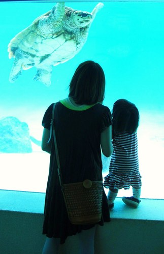 山口 飯塚 桜子 Sakurako Taso Twitter