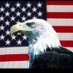 Save Nevada 2024 (@nvkathy29) Twitter profile photo Save Nevada 2024 (@nvkathy29) Twitter profile photo