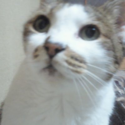 ふみさんのプロフィール画像