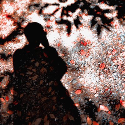 kate_proline's profile picture. ネット販売で100万円売上▶︎LINE自動化の最強ツール【プロライン】▶︎ネット起業・副業＆習慣化アドバイザー▶︎今ここを書き換えて未来を変える人を集めるビジネスの本質を発信▶︎インターネットでビジネスをするのに学歴や才能は関係ない▶︎TwitterとLINEのみでフルオートマーケティングを実現▶︎自動化の最高峰↓