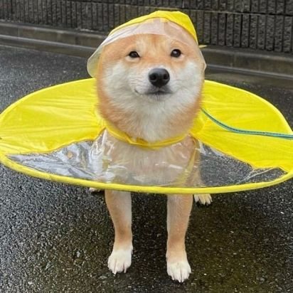 Baileytribb's profile picture. 