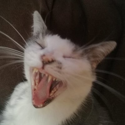 keckkz's profile picture. 