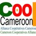 COOP-CAMEROON (@coopcameroon) Twitter profile photo COOP-CAMEROON (@coopcameroon) Twitter profile photo