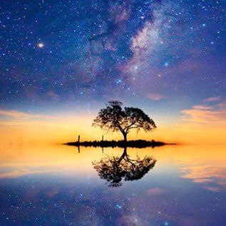 krag_omrt's profile picture. 