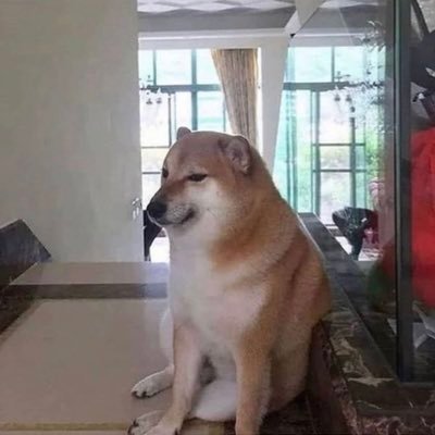 tikusanggora's profile picture. 