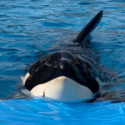 古市さんのプロフィール画像