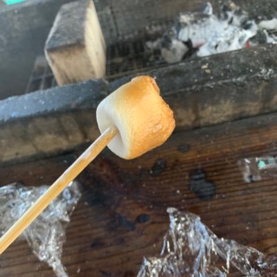 Nashikoさんのプロフィール画像