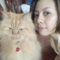 Htet Aeindray Linn (@aeindraylinn) 's Twitter Profile