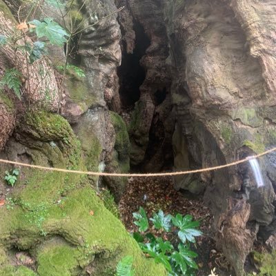 Jinnja505teRa5's profile picture. 御朱印集めハマり中！
先ずは、東海地区から
回ってます。

最初は、出雲大社に決めてたので、
最初の御朱印は、出雲大社にしました。

よろしくお願いしてます。

手空きの時に、
ツイートしていきます。