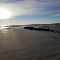 TimF (@timothy_f) 's Twitter Profile