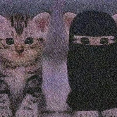 collegeofislam's profile picture. 𝐈𝐬𝐥𝐚𝐦𝐢𝐜 𝐑𝐞𝐦𝐢𝐧𝐝𝐞𝐫𝐬🔔| 𝐋𝐞𝐭'𝐬 𝐰𝐨𝐫𝐤 𝐟𝐨𝐫 𝐨𝐮𝐫 𝐃𝐞𝐞𝐧 𝐚𝐧𝐝 𝐁𝐞 𝐆𝐨𝐨𝐝 𝐀𝐦𝐛𝐚𝐬𝐬𝐚𝐝𝐨𝐫 𝐨𝐟  𝐈𝐬𝐥𝐚𝐦 ✨