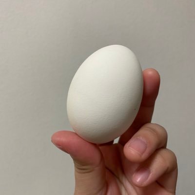 年齢非公開。会社員。結構ネガティブだけどメンタル強め。常に何かを推している。https://t.co/pJT9BKicil