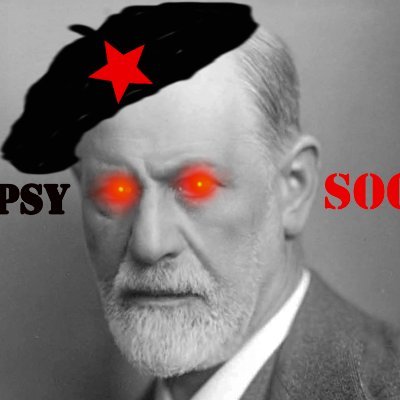 SocialismPsycho Profile Picture