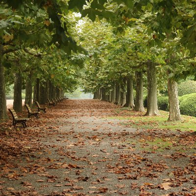 nyu_vt's profile picture. 趣味全開···最近管釣り始めました

日頃の何かを呟くことが多いかも
旅の記録 @nyu_Apuaroom