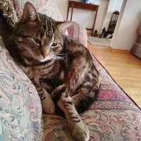 Momcat67(@momcat67) 's Twitter Profileg