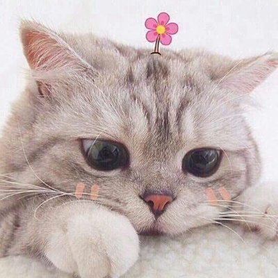 ฮิงฮิ้งさんのプロフィール画像