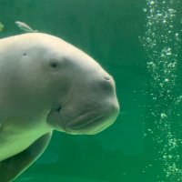 ZitoCokeCocco (@point_era) 's Twitter Profile