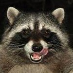 clumped8's profile picture. guys wouldnt it be funny if i