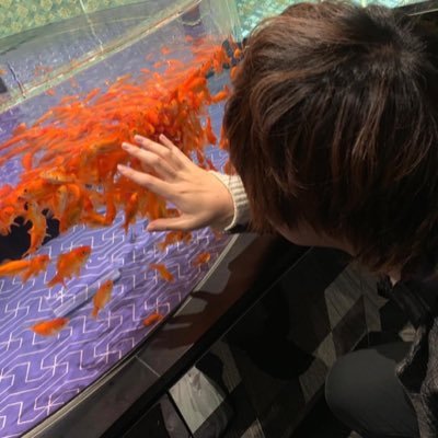 könさんのプロフィール画像