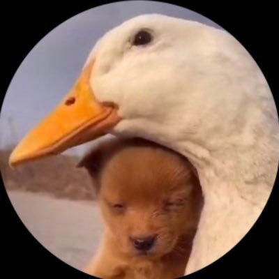 xreflexfn1's profile picture. 🇵🇸|believe in your ability to be the best⚔️😌