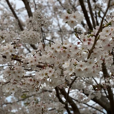 pohXWDv7bsXUnTb's profile picture. 21歳です