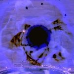 kawaihiyori's profile picture. クラスでは大人しい美人でとおってます。恋に恋する純情可憐思春期全開乙女ちっく裸族ガール