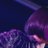 asachan_QK
