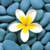 MayThu (@maythu77070282) Twitter profile photo MayThu (@maythu77070282) Twitter profile photo