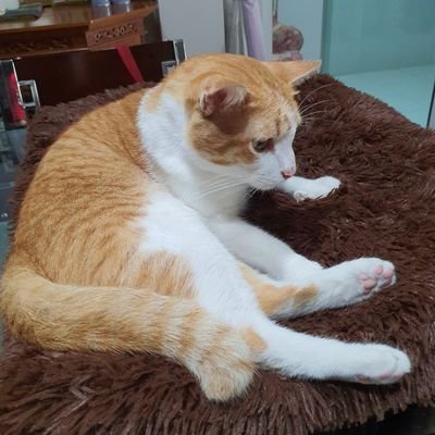 TKemsri's profile picture. 😀😃